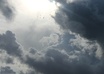 make a picture of the nature