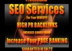 provide you Theme Based, Niche Relevant 5 High PR1+ Actual Pagerank Quality Blog Comment Backlinks With Keyword Diversity