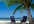 tell you how I got 17 days in the Carribean for Free using Craigslist