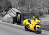 convert a photo to black and white, but i will let something of your choice in full color