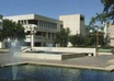 distribute 30 flyers across the University of Texas in Dallas campus