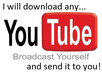 download any video from a video sharing site like youtube or viddler, convert it, and send it to you