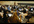 place 50 Flyers Inside a University Lecture Hall that has up to 500 Students, 3 Top Universities to Choose From