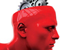 be your software hardware programming or networking engineer
