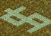 show you how to create 9x overlapped plow fields in Farm Town