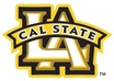 post 50 flyers around California State University Los Angeles