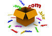 give you 5 optimized domain name suggestions for your website