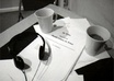 transcribe your audio for you