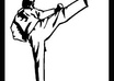 demonstrate three karate moves or 1 Korean kata