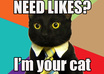 Business-cat-template