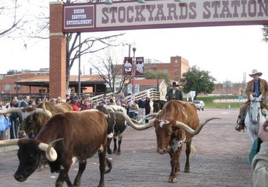 feature your Fort Worth or Arlington based business on a Fort Worth fan page on Facebook with 2000 plus members Very Targeted big1