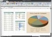 enter any amount of data into MS excel worksheets