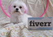 photograph my Pink maltese with your personalized message small1