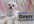 photograph my Pink maltese with your personalized message