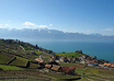 sent you one picture of Switzerland