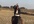 create a funny GANGNAM style video on buffalo top