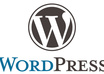 do Wordpress Blog work like Installing, Themes, Custom Plugin Development or Customization, Bug Fixing any type of Wordpress work for 1 hour