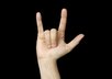use sign language to the song "Imagine" by John Lennon