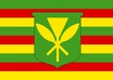 translate an English sentence or phrase into hawaiian