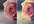 cross process your photographs