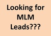 give you 100 high quality mlm homebased business leads plus tell you how to get free 100 leads