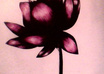 draw a flower small1