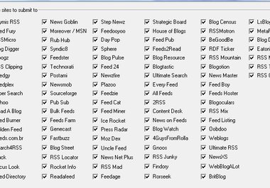 ping your website RSS to top 57 rss directories big1