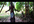 make funny video of crazy boy promote your website,birthday wish or any message