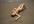 send you a picture of me lying on a beach and I have written on the sand  your message