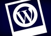 solve your wordpress websites css, html and other issues
