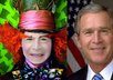 Bush
