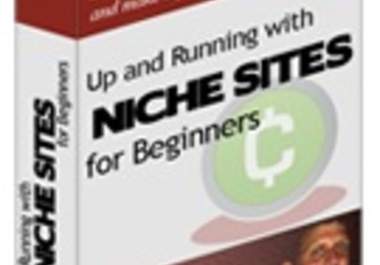 teach you how to make money by creating niche websites big1