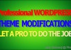 modify your wordpress blog/website as per your needs