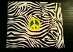create a duct tape wallet