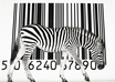 you will get 10x Unique UPC codes for your product so you can sell an item on Amazon, iTunes and other places