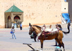 make you video of the peoples daily life in my city , Meknes Morroco North adrica and include your logo on it
