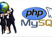 fix   any bugs in  php projects per hour
