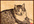 draw you lovely pets potrait with my chinese vintage doodle style