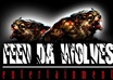 put your single on itunes and 20+ other sites