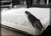 write a 100 words sizzling Advertisement with FREE rework