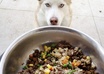 teach you how to make Homemade Pet Food