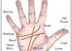 Hand