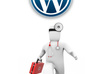 Wptraining-support-ticket