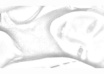 sketch your photos and faces