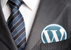 Professional-wp