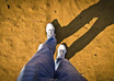 I-look-and-move-stop-motion