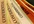 be your secret shopper caller for 5 calls to gather information for you