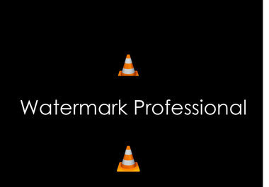 professionally watermark your videos as you wish big1