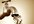 give you my e-book telling you how to create a steady stream of income using Craigslist