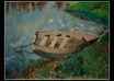draw and paint you anything